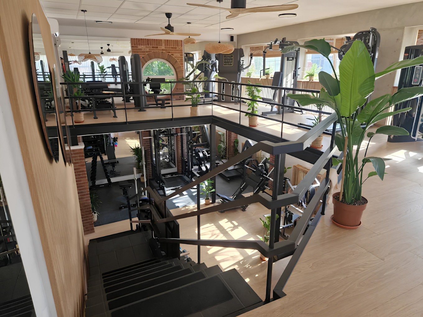 Posilňovacie stroje v dámskom fitku Queen Gym